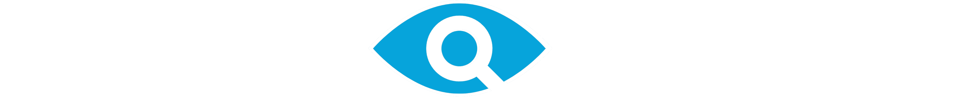 Breach Monitor Logo